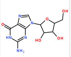 Guanosine hydrate  