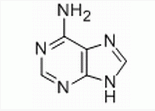 Adenine