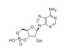 Adenosine Cyclophosphate