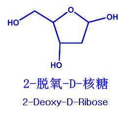 2-Deoxy-D-ribose