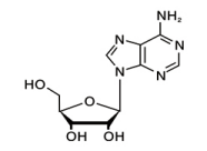 Adenosine USP30