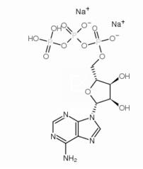  adenosine triphosphate disodium