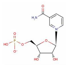 бета - никотиновая мононуклеотидная кислота